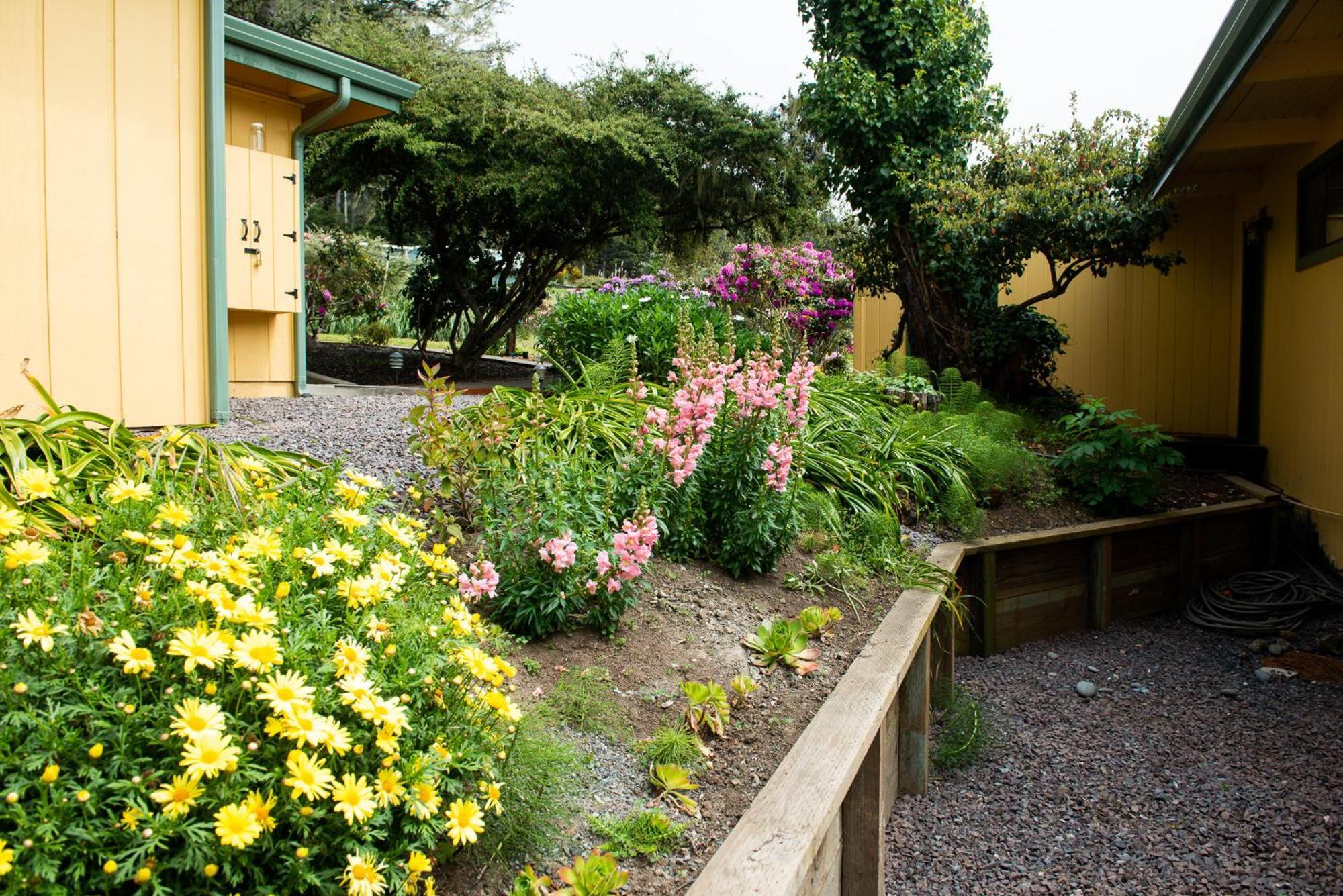 Inn At Buckhorn Cove Little River Exterior photo